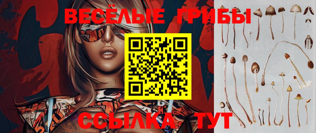 Галлюциногенные грибы Cubensis Тимашёвск